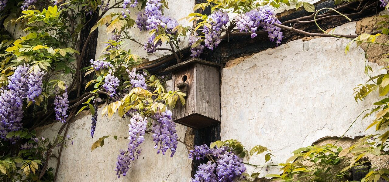 Vogelhäuschen im Hausgarten