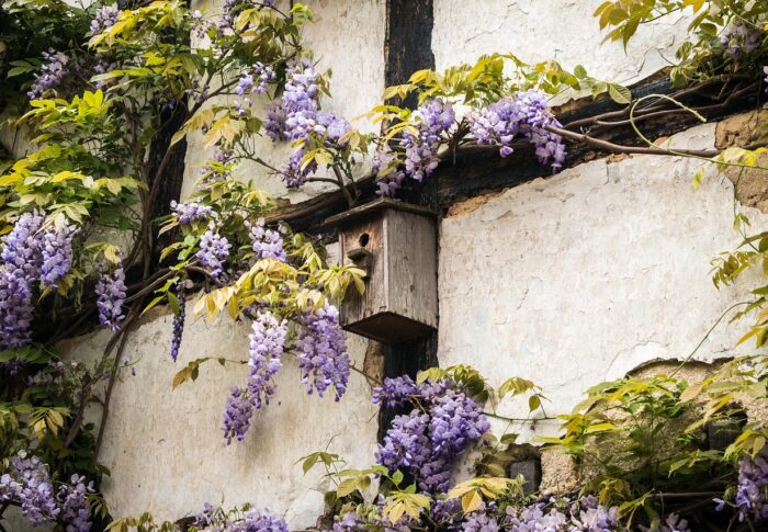Vogelhäuschen im Hausgarten